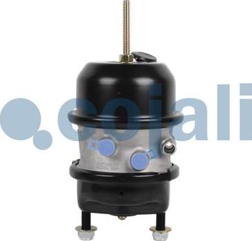 Cojali 2851101 - Комбинированный тормозной цилиндр autospares.lv