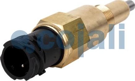 Cojali 2260382 - Датчик, контактный переключатель КПП autospares.lv