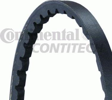 CONTINENTAL CTAM BR AVX10X838 - Клиновой ремень, поперечные рёбра autospares.lv