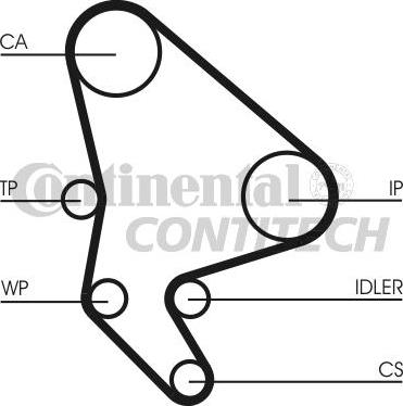 CONTINENTAL CTAM BR CT987K2 - Комплект зубчатого ремня ГРМ autospares.lv