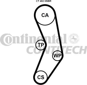 CONTINENTAL CTAM BR CT462 - Зубчатый ремень ГРМ autospares.lv