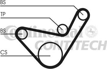 CONTINENTAL CTAM BR CT1107 - Зубчатый ремень ГРМ autospares.lv