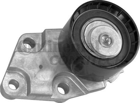 CONTINENTAL CTAM BR V59002 - Натяжной ролик, зубчатый ремень ГРМ autospares.lv