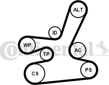 CONTITECH 6DPK1817WP1 - Водяной насос + комплект ручейковых ремней autospares.lv