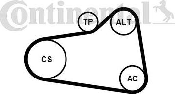 Contitech 6PK905 EXTRA K1 - Поликлиновый ременный комплект autospares.lv