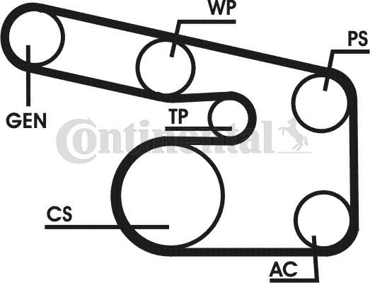 Contitech 6PK1900D1 - Поликлиновый ременный комплект autospares.lv