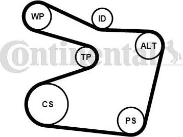 Contitech 6PK1555WP1 - Водяной насос + комплект ручейковых ремней autospares.lv