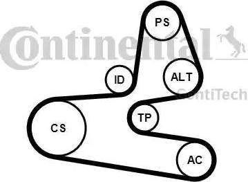 Continental 6PK1564K1 - Поликлиновый ременный комплект autospares.lv