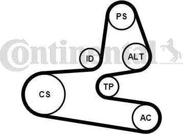 Contitech 6PK1564K1 - Поликлиновый ременный комплект autospares.lv