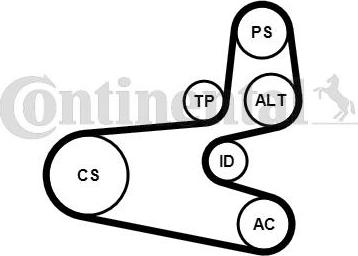 Contitech 6PK1560K1 - Поликлиновый ременный комплект autospares.lv