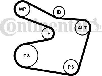 Contitech 6PK1538K2 - Поликлиновый ременный комплект autospares.lv