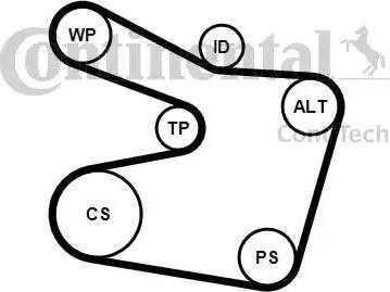 Continental 6PK1538K2 - Поликлиновый ременный комплект autospares.lv