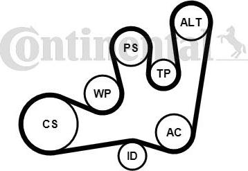 CONTITECH 6PK1642WP1 - Водяной насос + комплект ручейковых ремней autospares.lv