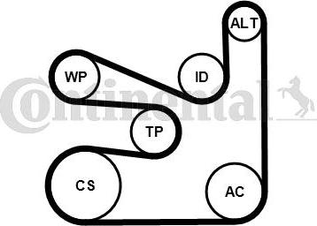 CONTITECH 6PK1660K5 - Поликлиновый ременный комплект autospares.lv
