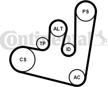 Contitech 6PK1660K2 - Поликлиновый ременный комплект autospares.lv