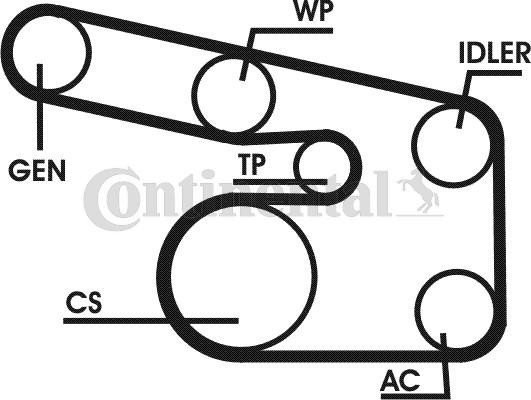 Contitech 6PK1873D1 - Поликлиновый ременный комплект autospares.lv