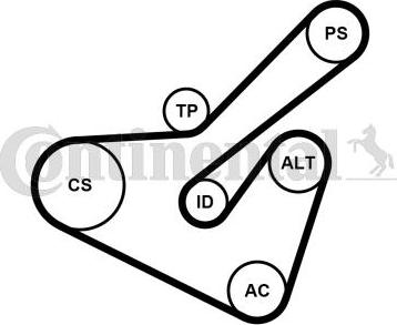 Contitech 6PK1725K2 - Поликлиновый ременный комплект autospares.lv