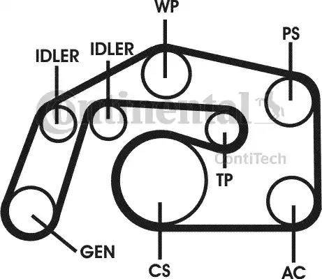 Continental 6PK2460D1 - Поликлиновый ременный комплект autospares.lv