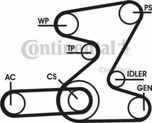 Continental 6PK2080D2 - Поликлиновой ремень autospares.lv