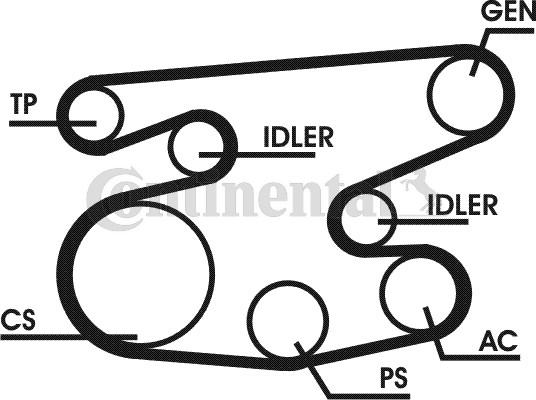 Contitech 6PK2215D1 - Поликлиновый ременный комплект autospares.lv