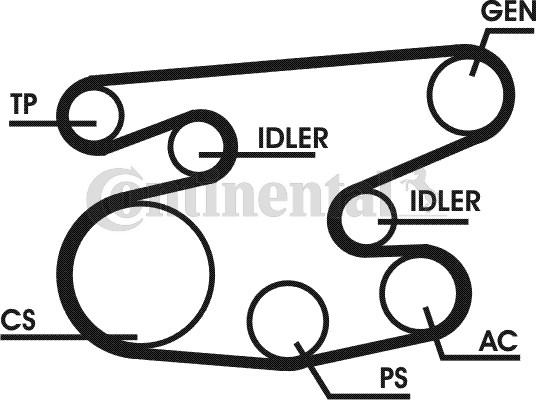 Contitech 6PK2236D1 - Поликлиновый ременный комплект autospares.lv