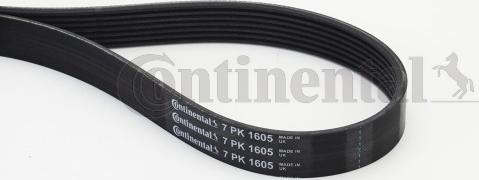 Contitech 7 PK 1605 - Поликлиновой ремень autospares.lv