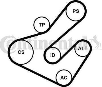 Continental 7PK1795K2 - Поликлиновый ременный комплект autospares.lv