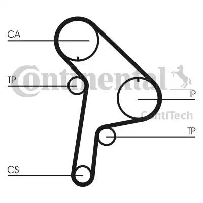 Continental CT951K1 - Комплект зубчатого ремня ГРМ autospares.lv