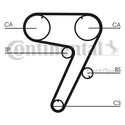 Continental CT931 - Зубчатый ремень ГРМ autospares.lv