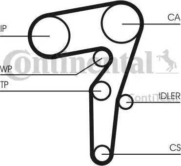 Continental CT1155K1 - Комплект зубчатого ремня ГРМ autospares.lv