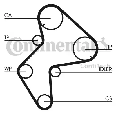 Continental CT772K1 - Комплект зубчатого ремня ГРМ autospares.lv