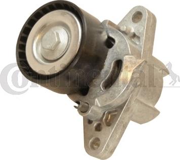 CONTITECH V85585 - Ролик, поликлиновый ремень autospares.lv