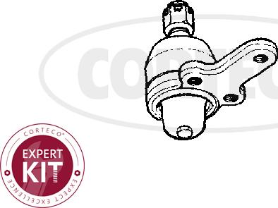 Corteco 49395843 - Шаровая опора, несущий / направляющий шарнир autospares.lv