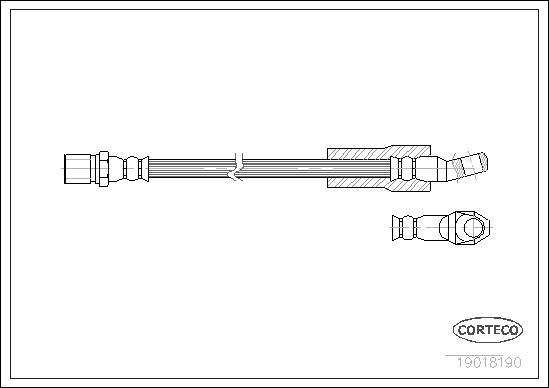 Corteco 19018190 - Тормозной шланг autospares.lv