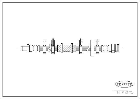 Corteco 19018125 - Тормозной шланг autospares.lv