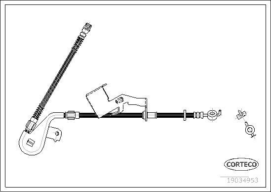 Corteco 19034953 - Тормозной шланг autospares.lv