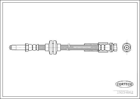 Corteco 19034662 - Тормозной шланг autospares.lv