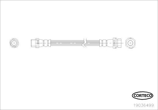 Corteco 19036499 - Тормозной шланг autospares.lv