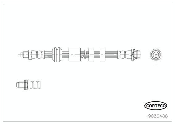 Corteco 19036488 - Тормозной шланг autospares.lv