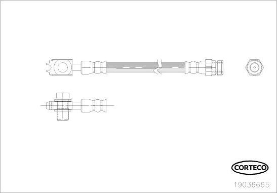 Corteco 19036665 - Тормозной шланг autospares.lv