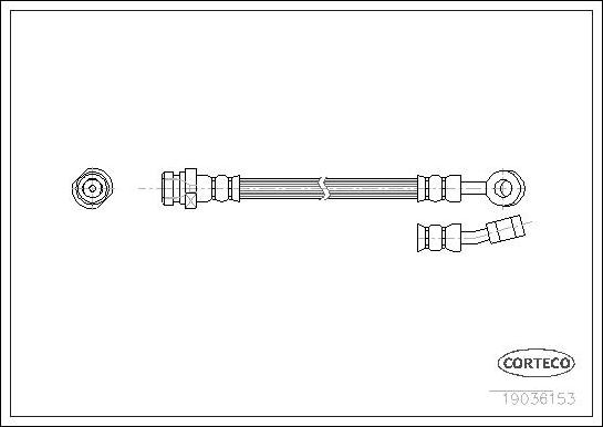 Corteco 19036153 - Тормозной шланг autospares.lv