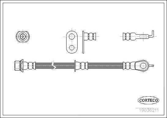 Corteco 19036211 - Тормозной шланг autospares.lv