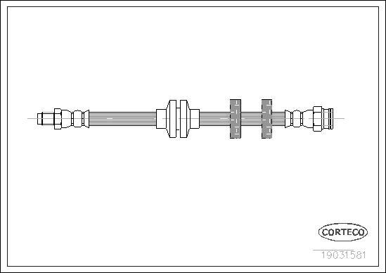 Corteco 19031581 - Тормозной шланг autospares.lv