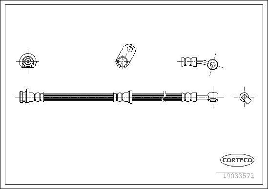 Corteco 19033572 - Тормозной шланг autospares.lv