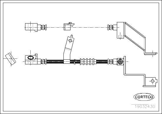 Corteco 19032430 - Тормозной шланг autospares.lv