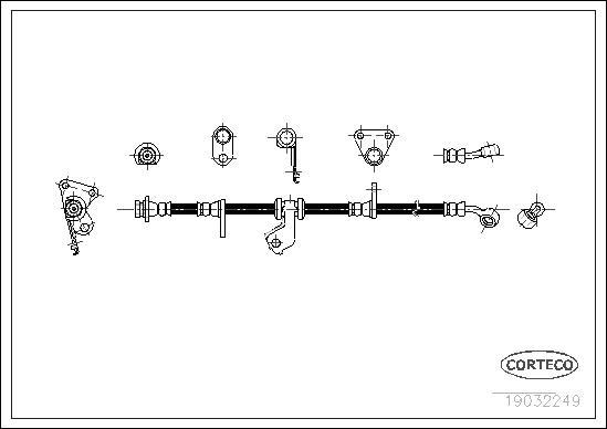 Corteco 19032249 - Тормозной шланг autospares.lv