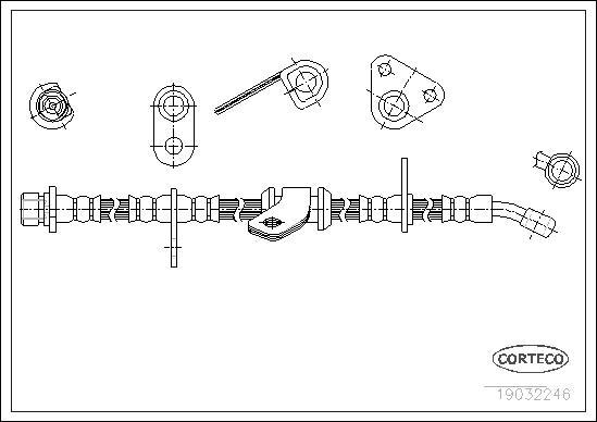 Corteco 19032246 - Тормозной шланг autospares.lv