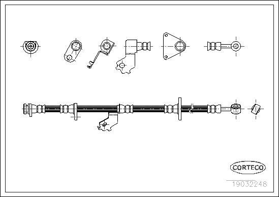 Corteco 19032248 - Тормозной шланг autospares.lv