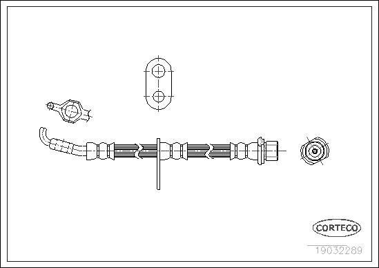 Corteco 19032289 - Тормозной шланг autospares.lv