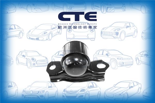 CTE CBH06046L - Сайлентблок, рычаг подвески колеса autospares.lv